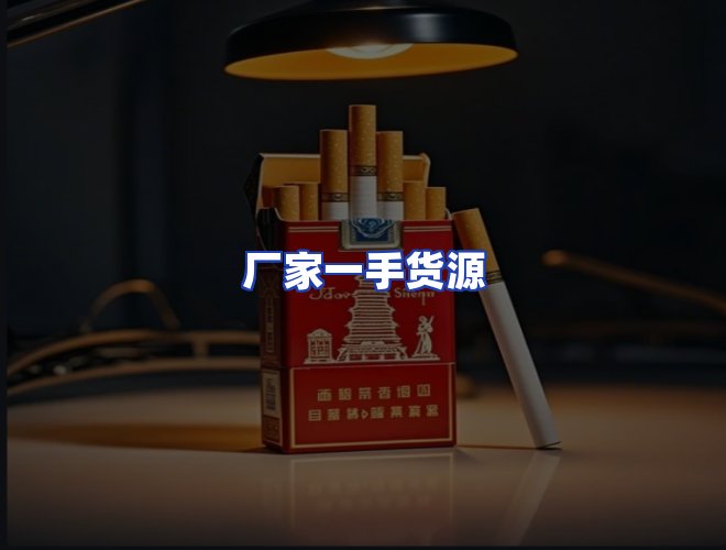专业团队